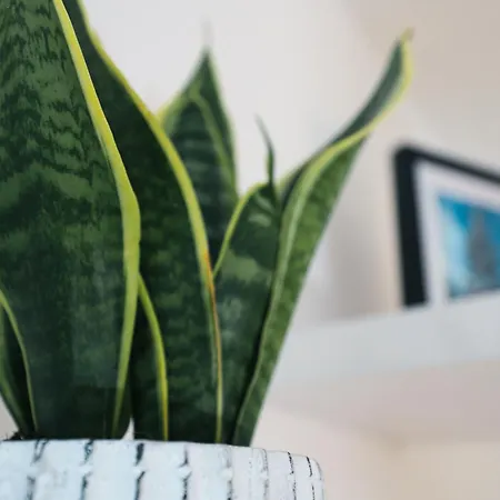 Schladming-top1 Schladming